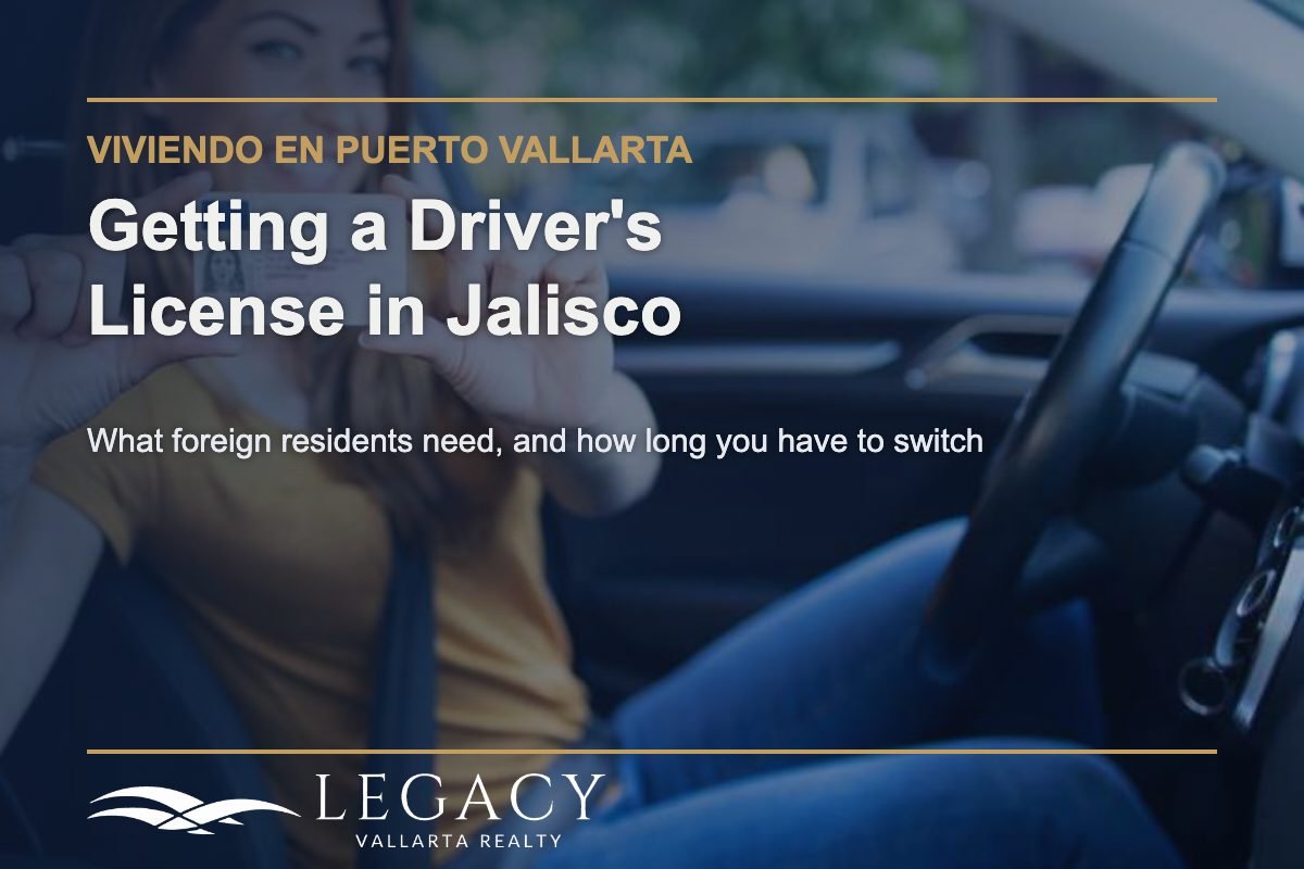 Woman in a car holding a driving license - Getting a Driver's License in Jalisco - Viviendo en Puerto Vallarta