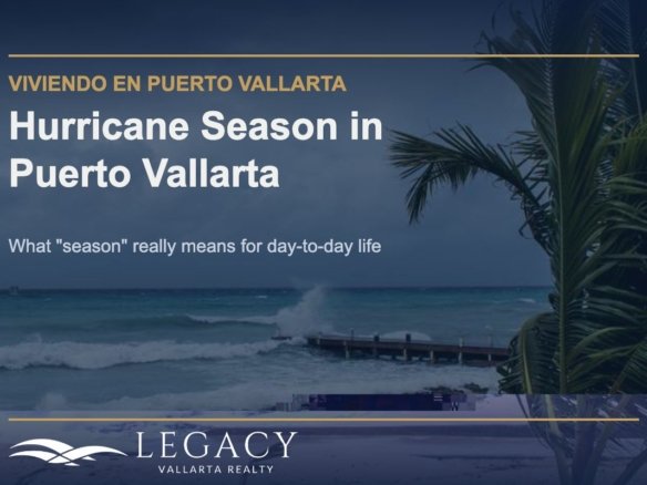 Hurricane Season in Puerto Vallarta - stormy beach with palm tree