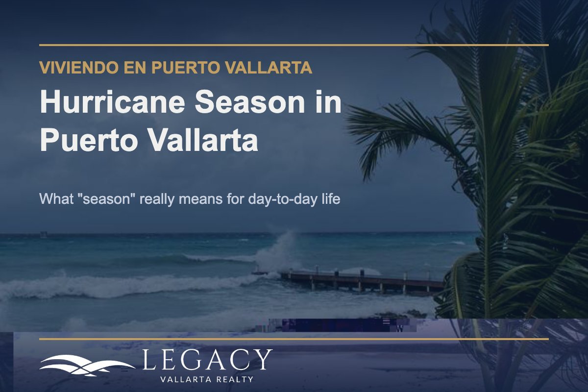 Hurricane Season in Puerto Vallarta - stormy beach with palm tree